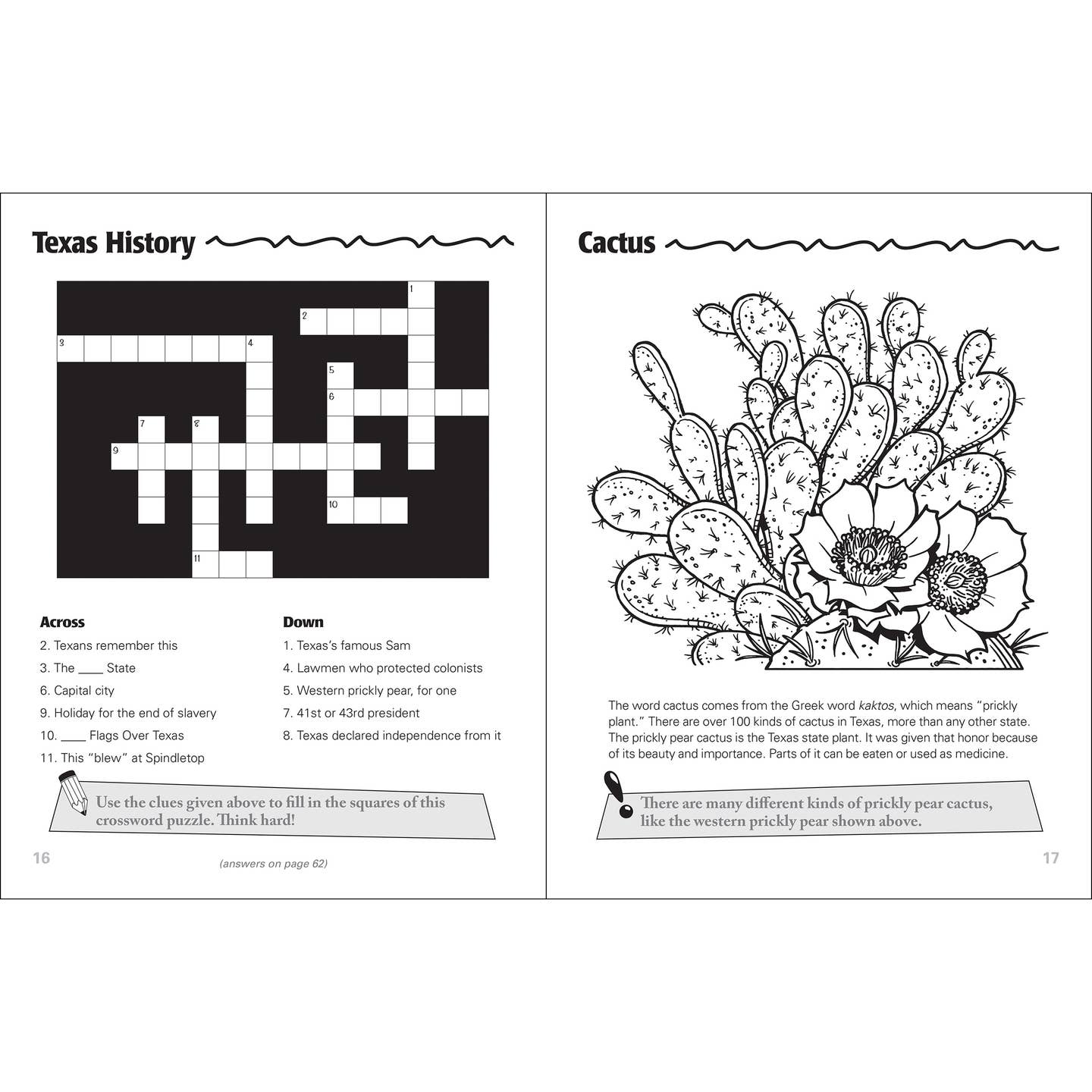 Texas Activity Book
