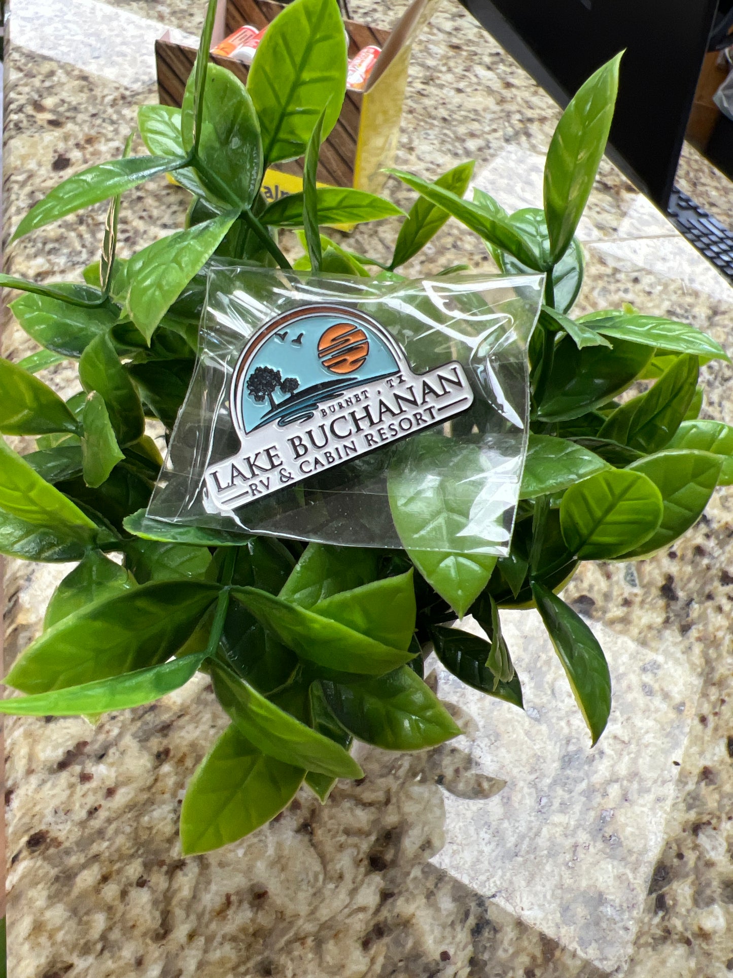 Lake Buchanan Logo Pin
