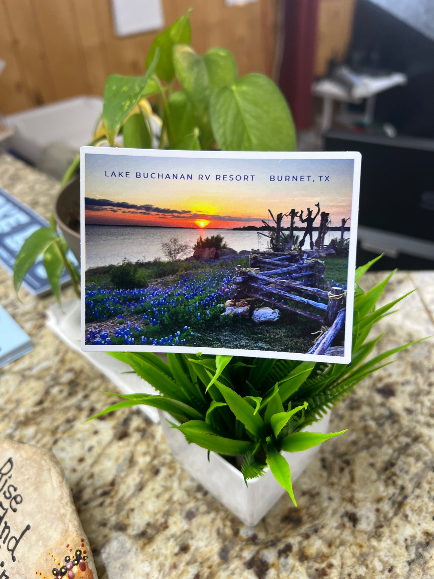 Lake Buchanan Bluebonnets Sticker