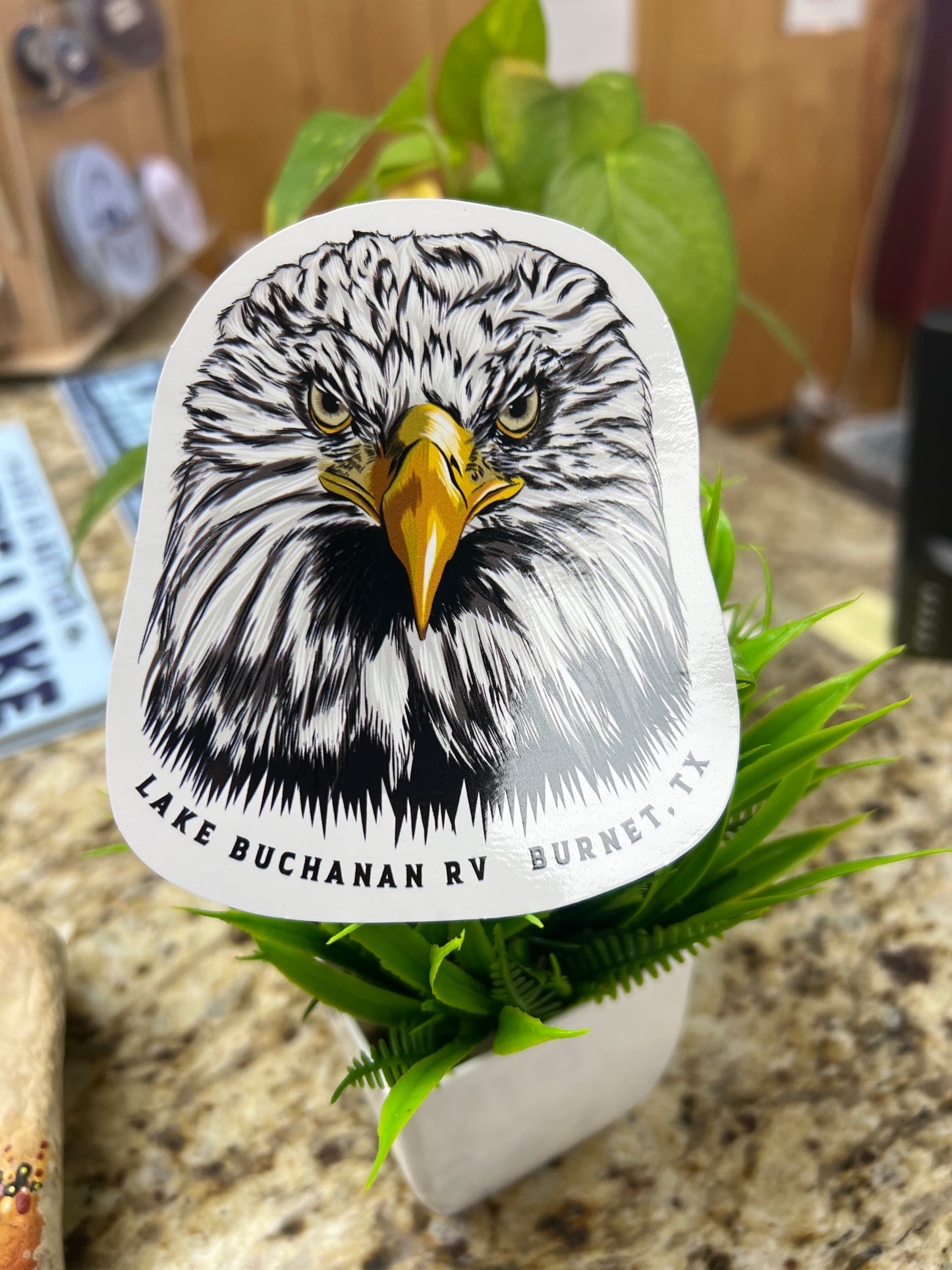 Eagle Lake Buchanan Sticker