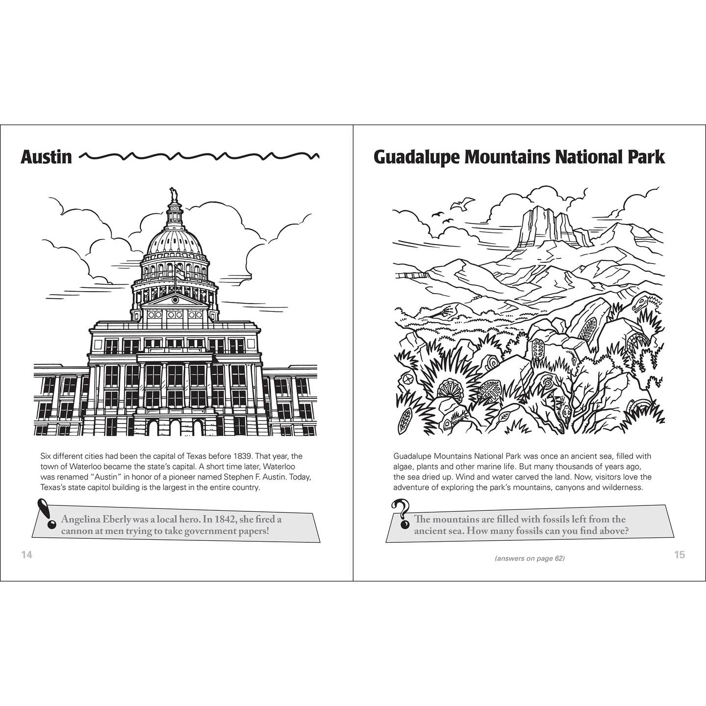 Texas Activity Book